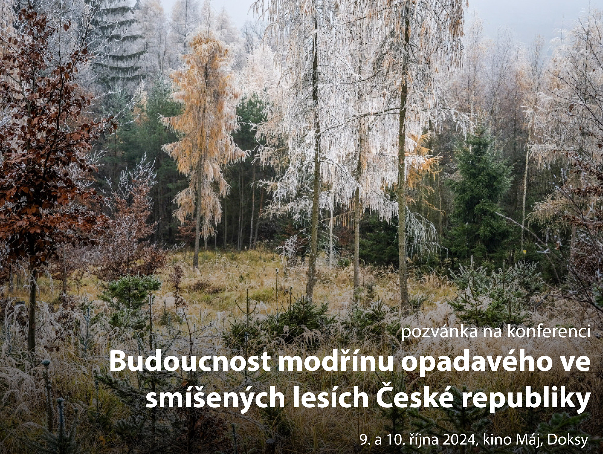 Harmonogram konference v Doksech dne 9. a 10. října 2024