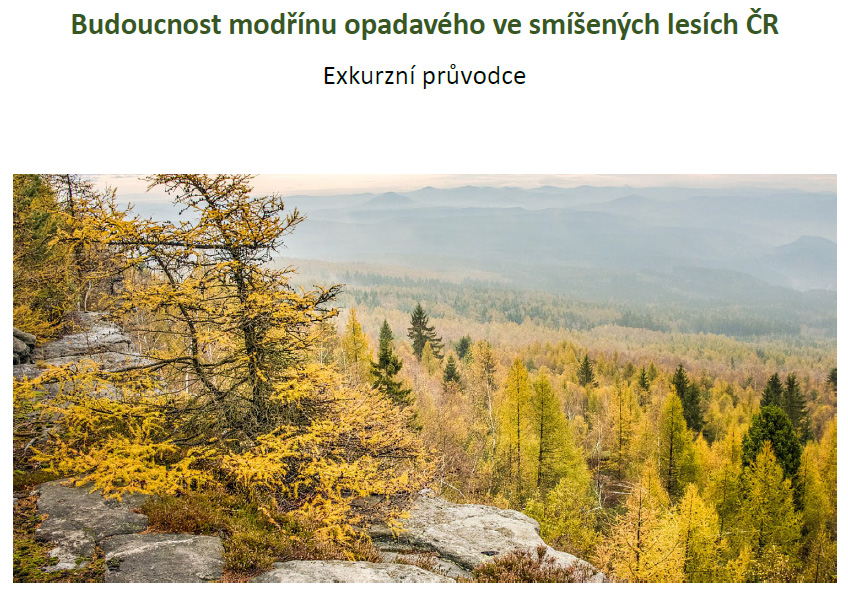 Výstupy z konference konané v Doksech